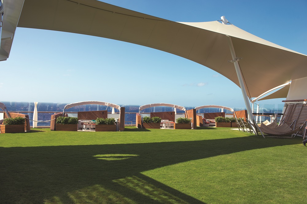 Celebrity Reflection