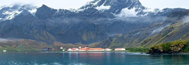 Южная Георгия